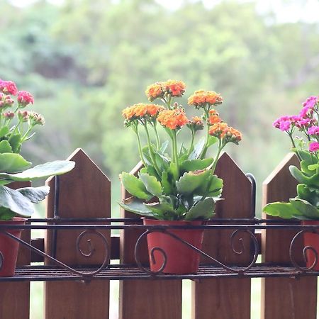 Shanhai B&B Ji'an Buitenkant foto